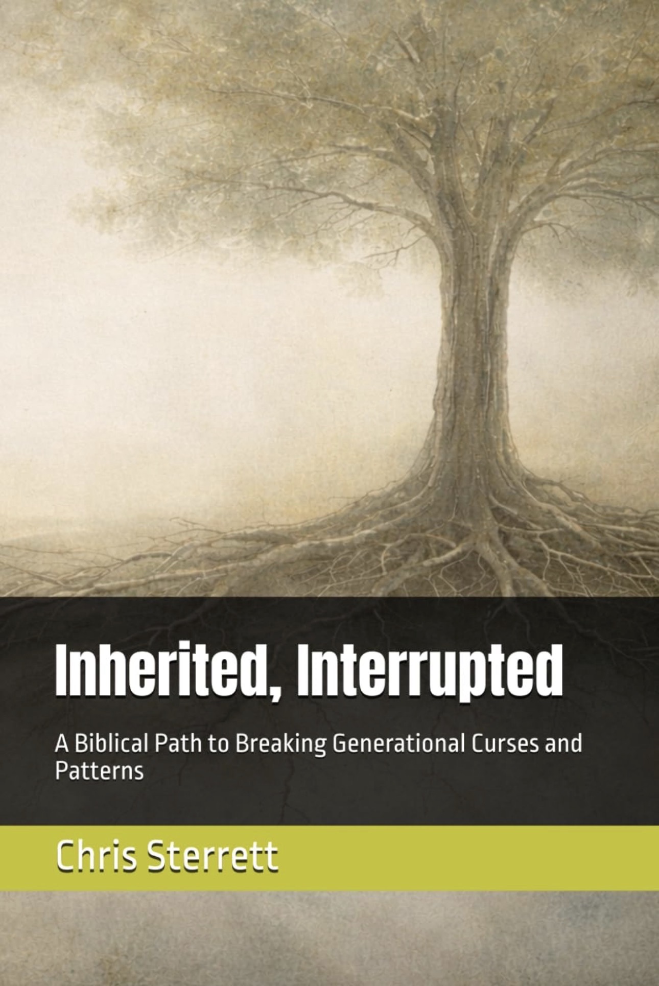 Inherited, Interrupted cover