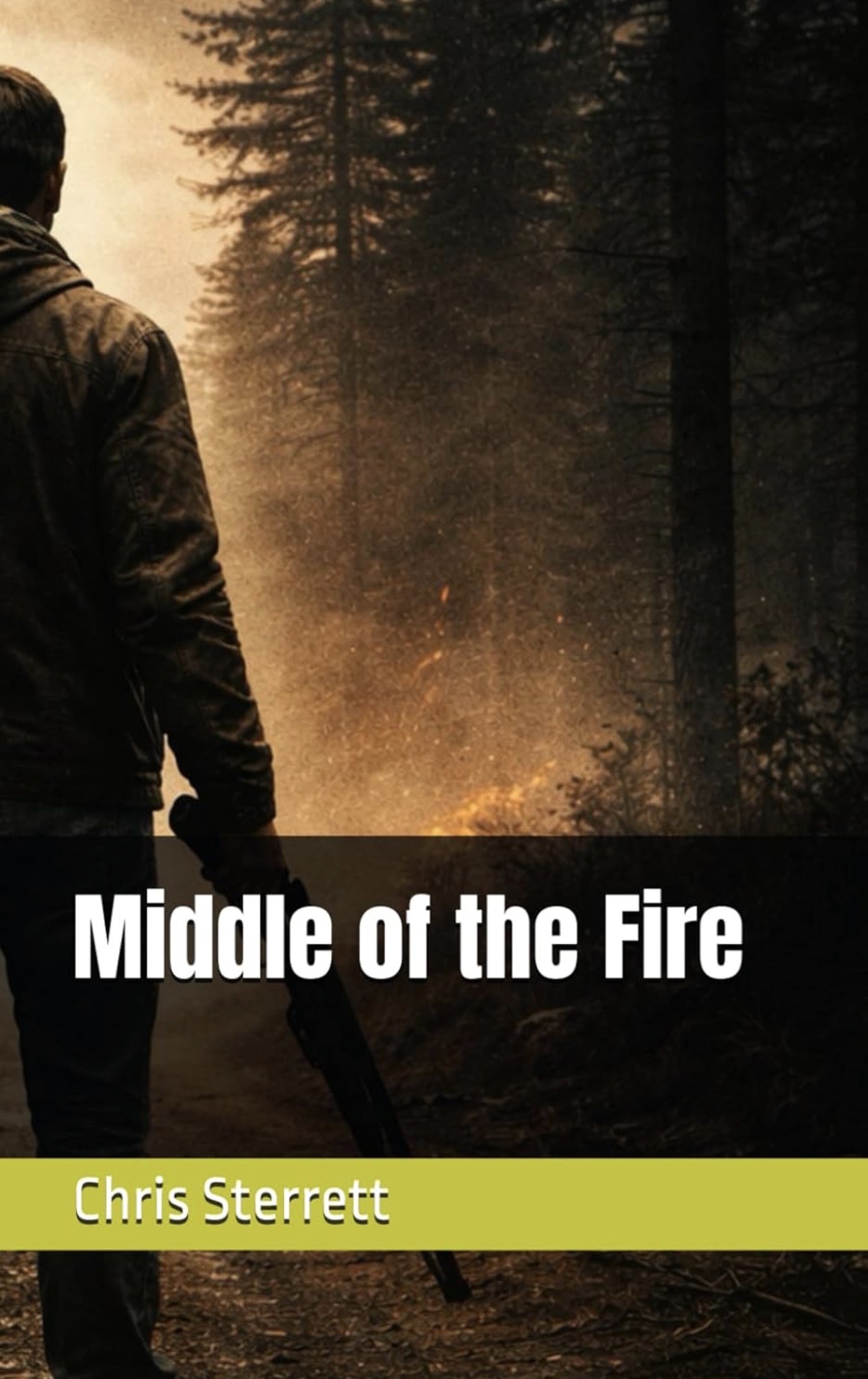 Middle of the Fire cover